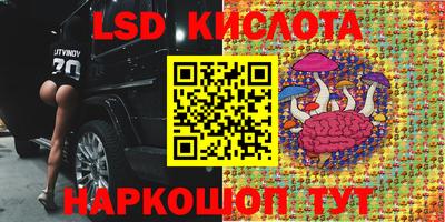 метадон Будённовск