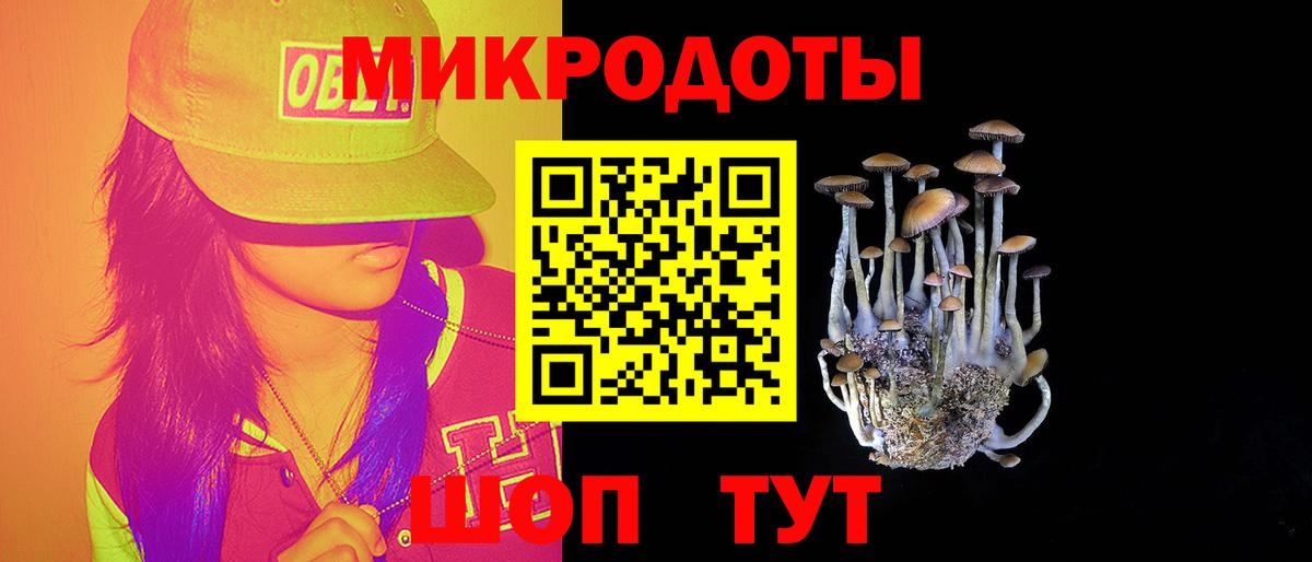 хочу наркоту  Псилоцибиновые грибы Psilocybine cubensis  Вход с VPN  Ступино 